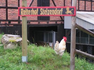Reiterhof 032